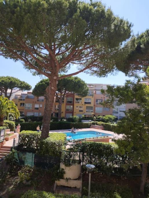 Studio 4 Couchages Avec Piscine D'Ete Vue Port Agde Esterno foto